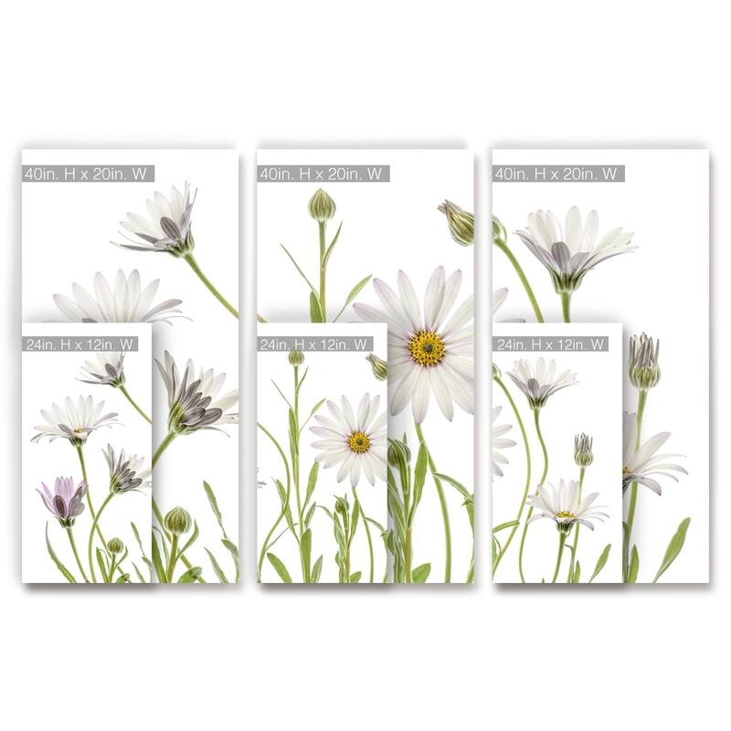 Ready2HangArt 'Cape Daisies' 3-Pc Canvas Wall Décor Set