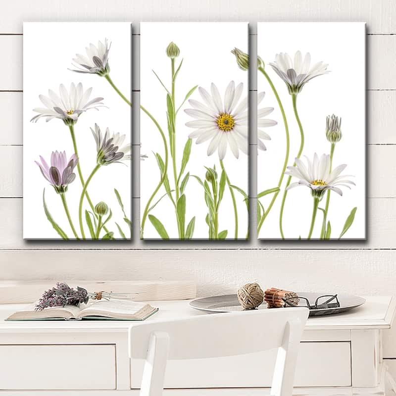 Ready2HangArt 'Cape Daisies' 3-Pc Canvas Wall Décor Set