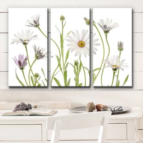 Ready2HangArt 'Cape Daisies' 3-Pc Canvas Wall Décor Set