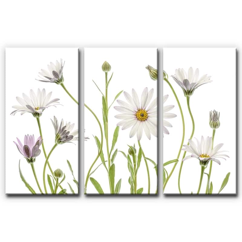 Ready2HangArt 'Cape Daisies' 3-Pc Canvas Wall Décor Set