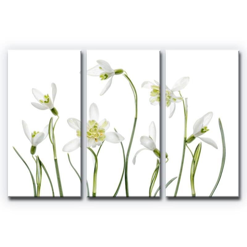 Ready2HangArt 'Spring Snowdrops' 3-Pc Canvas Wall Décor Set