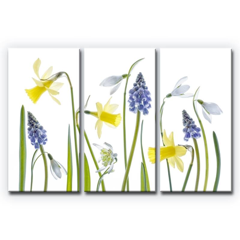 Ready2HangArt 'Spring' 3-Pc Canvas Wall Décor Set