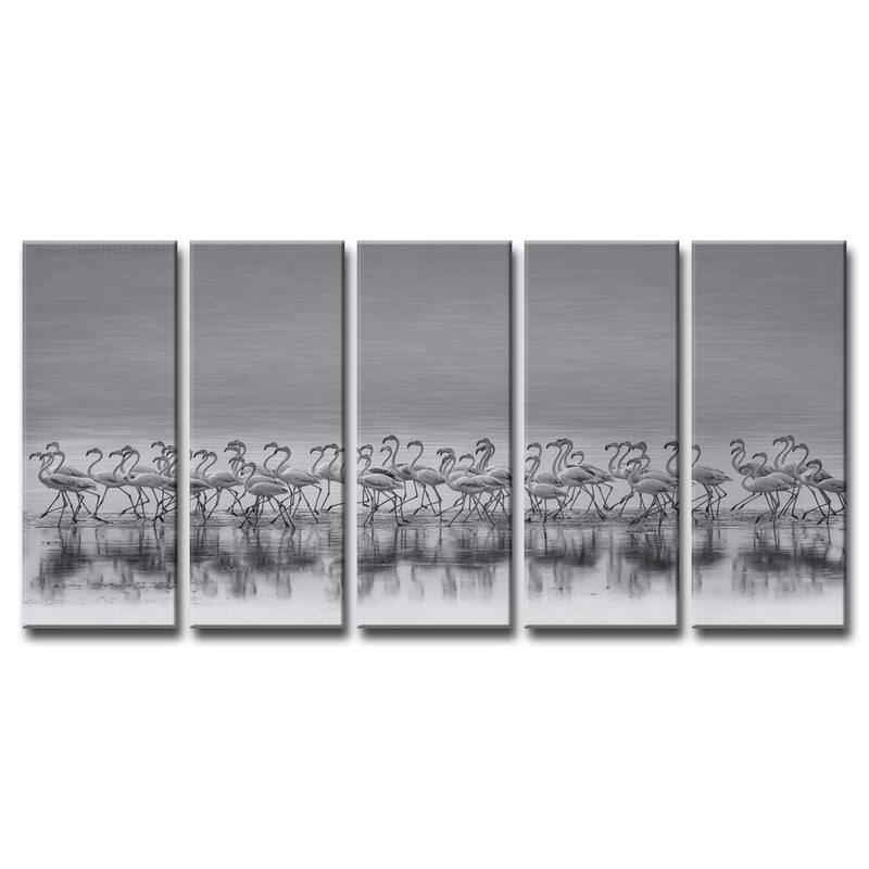 'Comrades' 5-Pc Flamingo Canvas Wall Décor Set