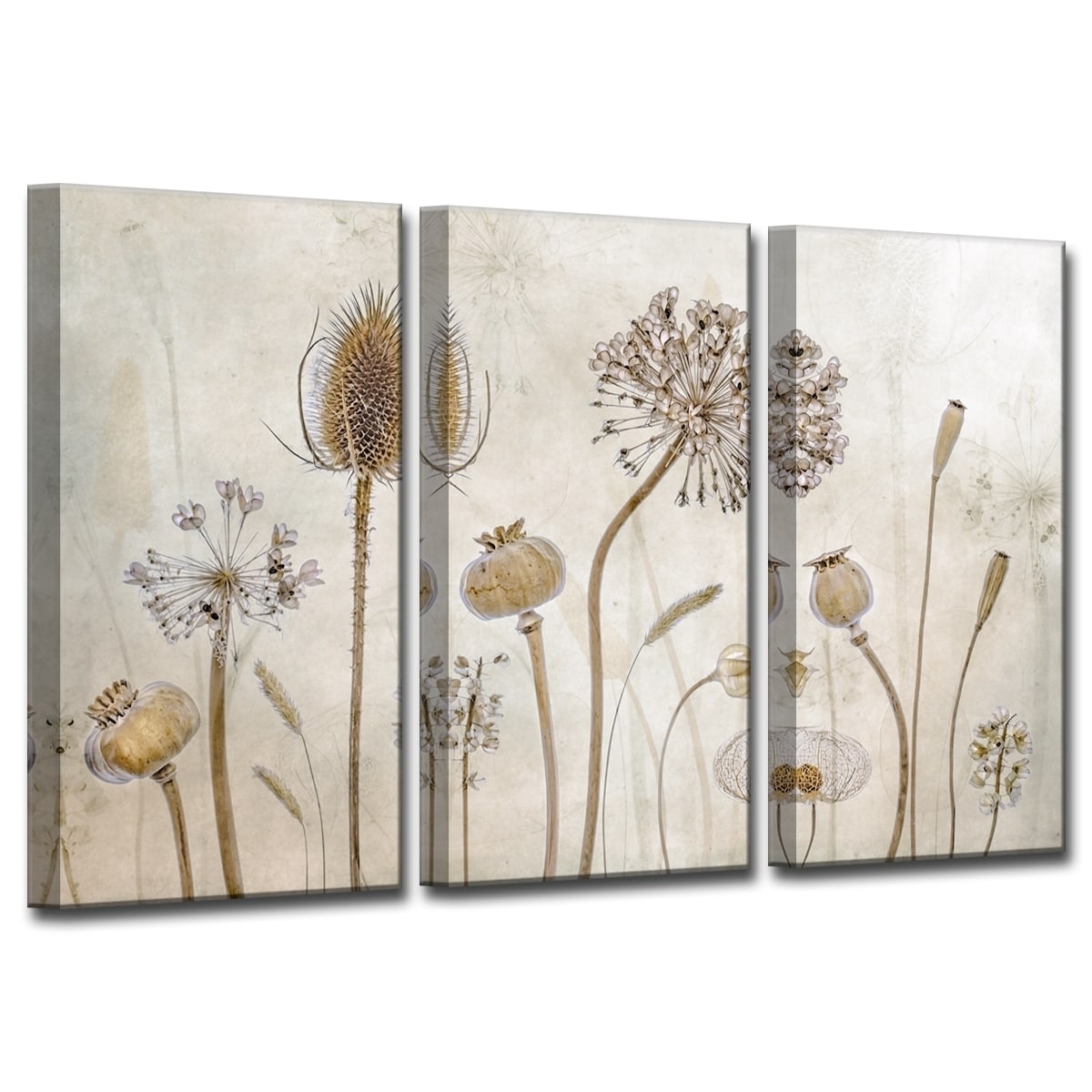 Ready2HangArt 'Growing Old' 3-Pc Canvas Wall Dundefinedcor 