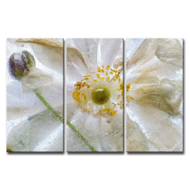 Ready2HangArt 'Floral Freeze' 3-Pc Canvas Wall Décor Set
