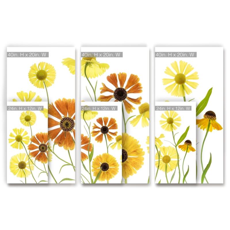 Ready2HangArt 'Helenium' 3-Pc Canvas Wall Décor Set