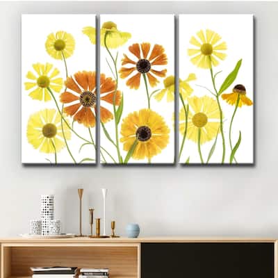 Ready2HangArt 'Helenium' 3-Pc Canvas Wall Décor Set