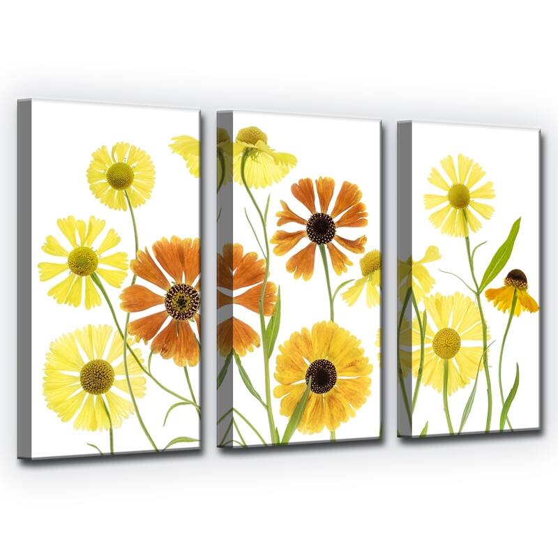 Ready2HangArt 'Helenium' 3-Pc Canvas Wall Décor Set