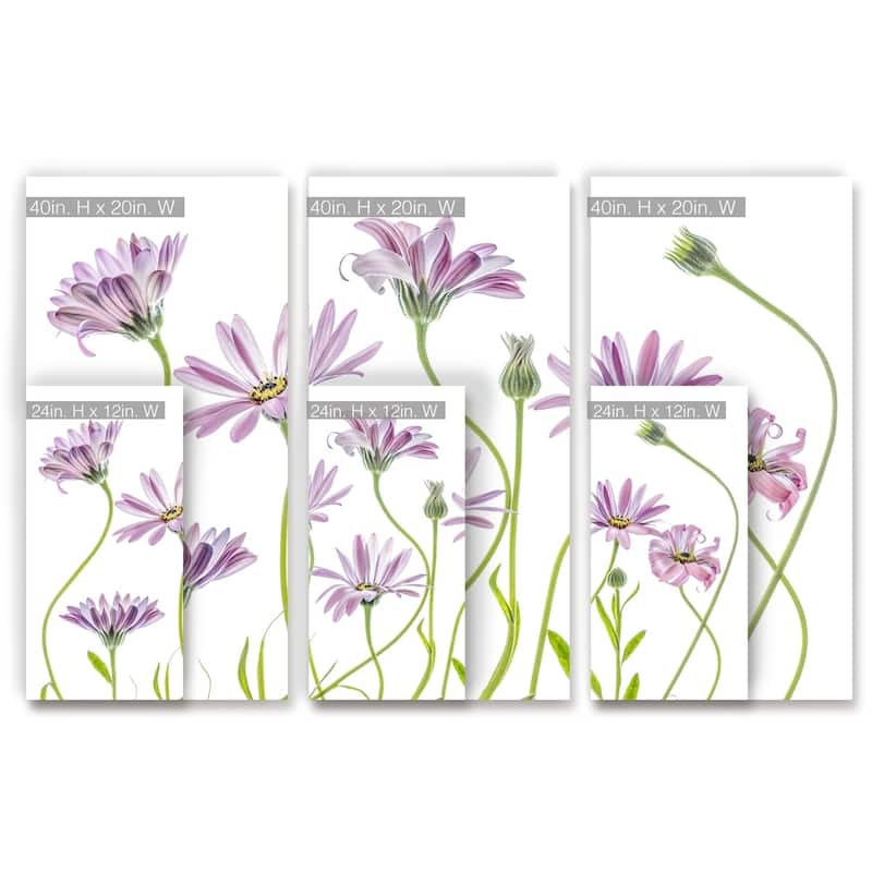 Ready2HangArt 'Cape Daisies I' 3-Pc Canvas Wall Décor Set