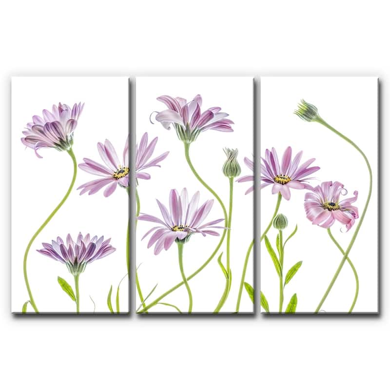 Ready2HangArt 'Cape Daisies I' 3-Pc Canvas Wall Décor Set