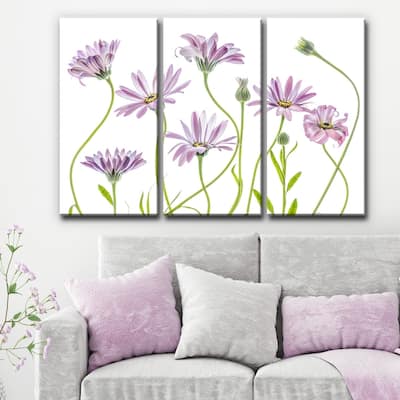 Ready2HangArt 'Cape Daisies I' 3-Pc Canvas Wall Décor Set