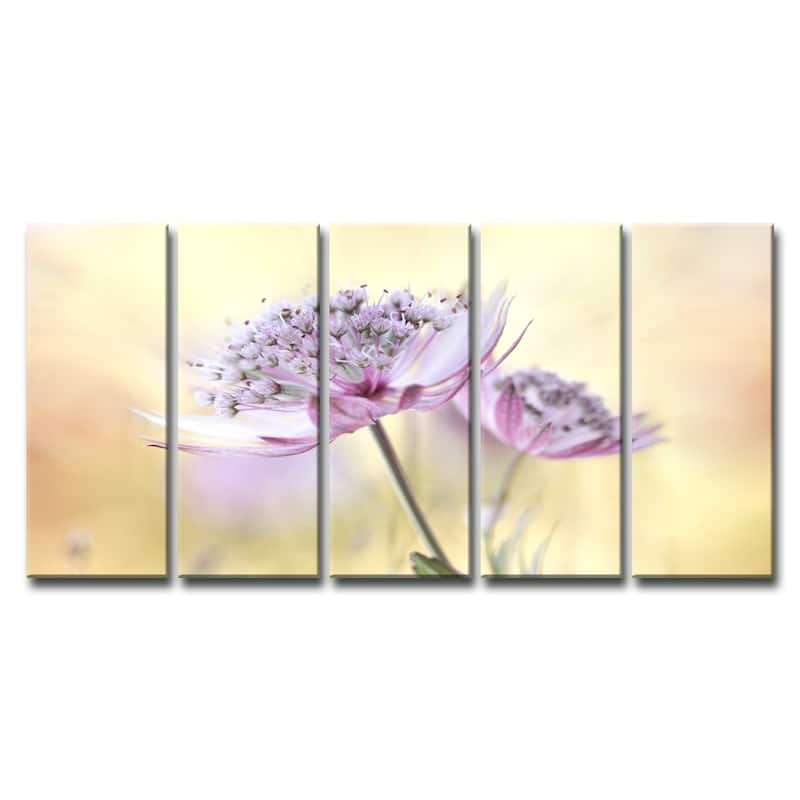 Ready2HangArt 'Pink Astrantia' 5-Pc Canvas Wall Décor Set