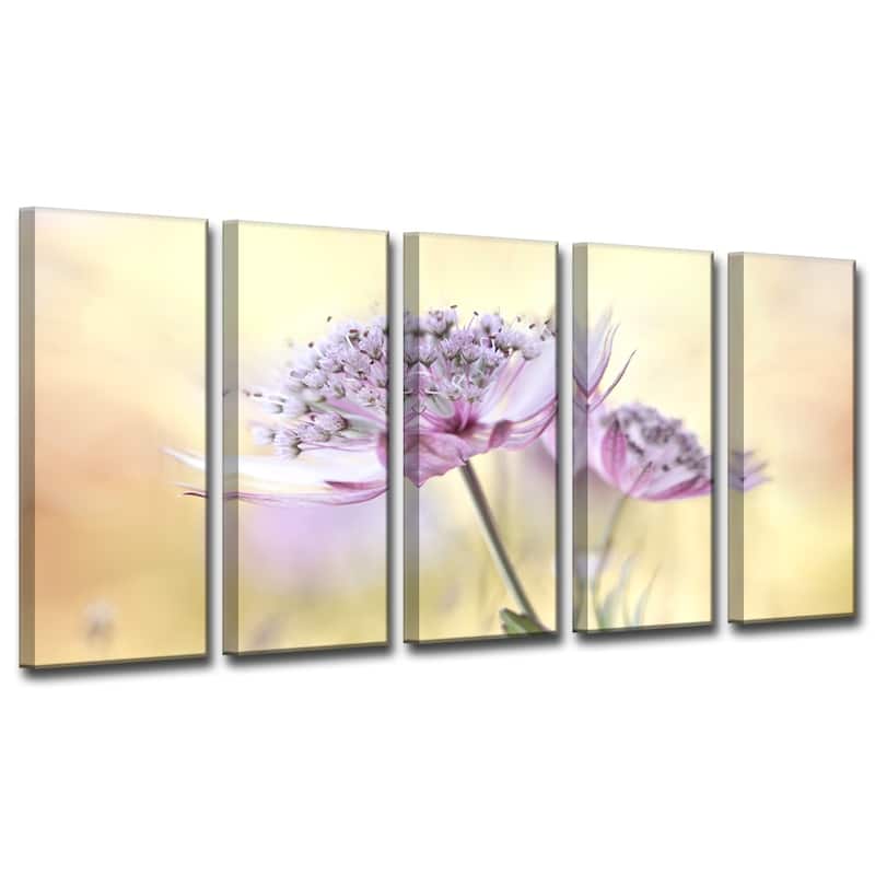 Ready2HangArt 'Pink Astrantia' 5-Pc Canvas Wall Décor Set