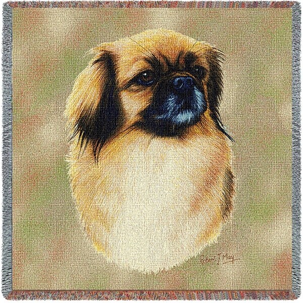 tibetan spaniel price