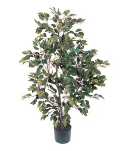 Silk 4-foot Ficus Tree