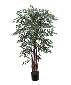 Silk Ruscus Tree (4 ft.)