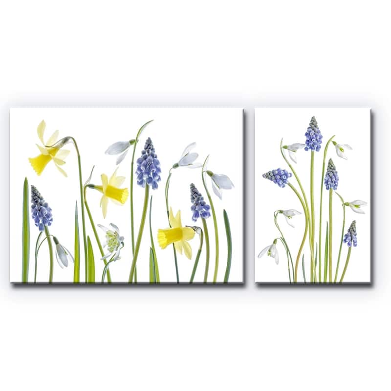 Ready2HangArt 'Muscari and Galanthus' 2-Pc Canvas Wall Décor Set