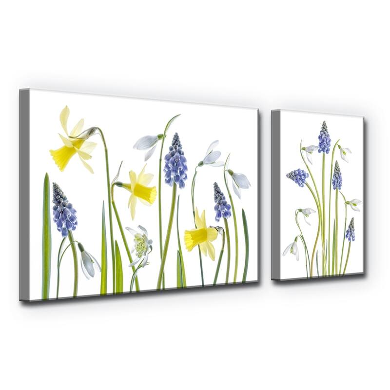 Ready2HangArt 'Muscari and Galanthus' 2-Pc Canvas Wall Décor Set