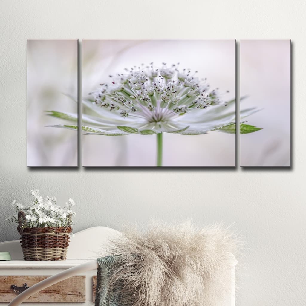 Ready2HangArt 'Astrantia' 3-Piece Canvas Wall Décor Set