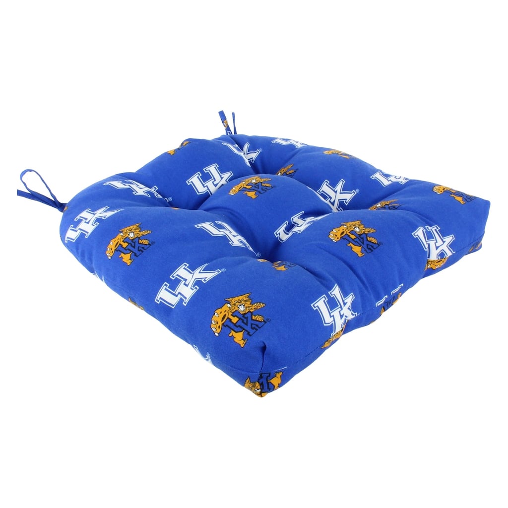 Kentucky Wildcats Indoor / Outdoor Seat Cushion Patio D Cushion 20" x 20", 2 Tie Backs - 20" x 20" x 3"