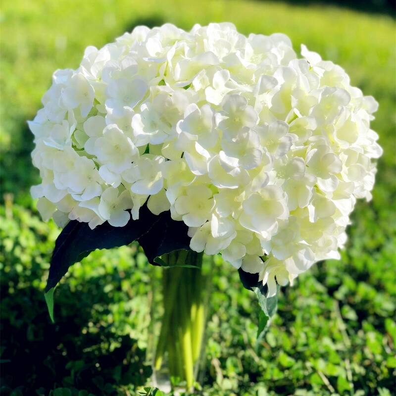 Enova Home Artificial Hydrangea Flower Bouquet with Glass Vase - White