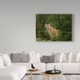Galloimages Online 'Mountain Lion with Ferns' Canvas Art - Multi-color ...