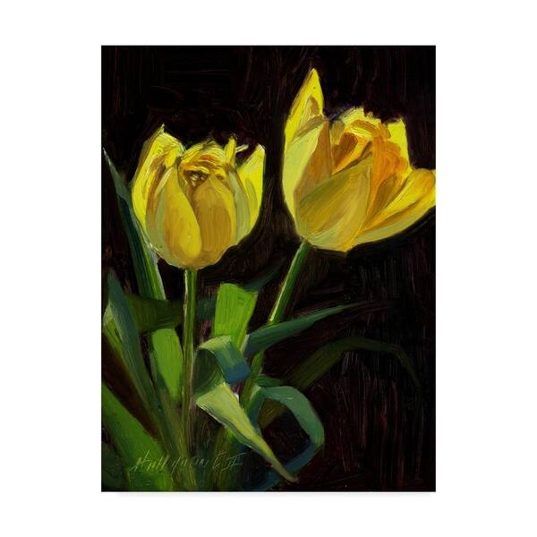 Shop Hall Groat Ii Yellow Tulips Black Canvas Art Multi Color