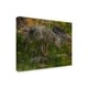 Galloimages Online 'Stalking Coyote' Canvas Art - Multi-color - On Sale ...