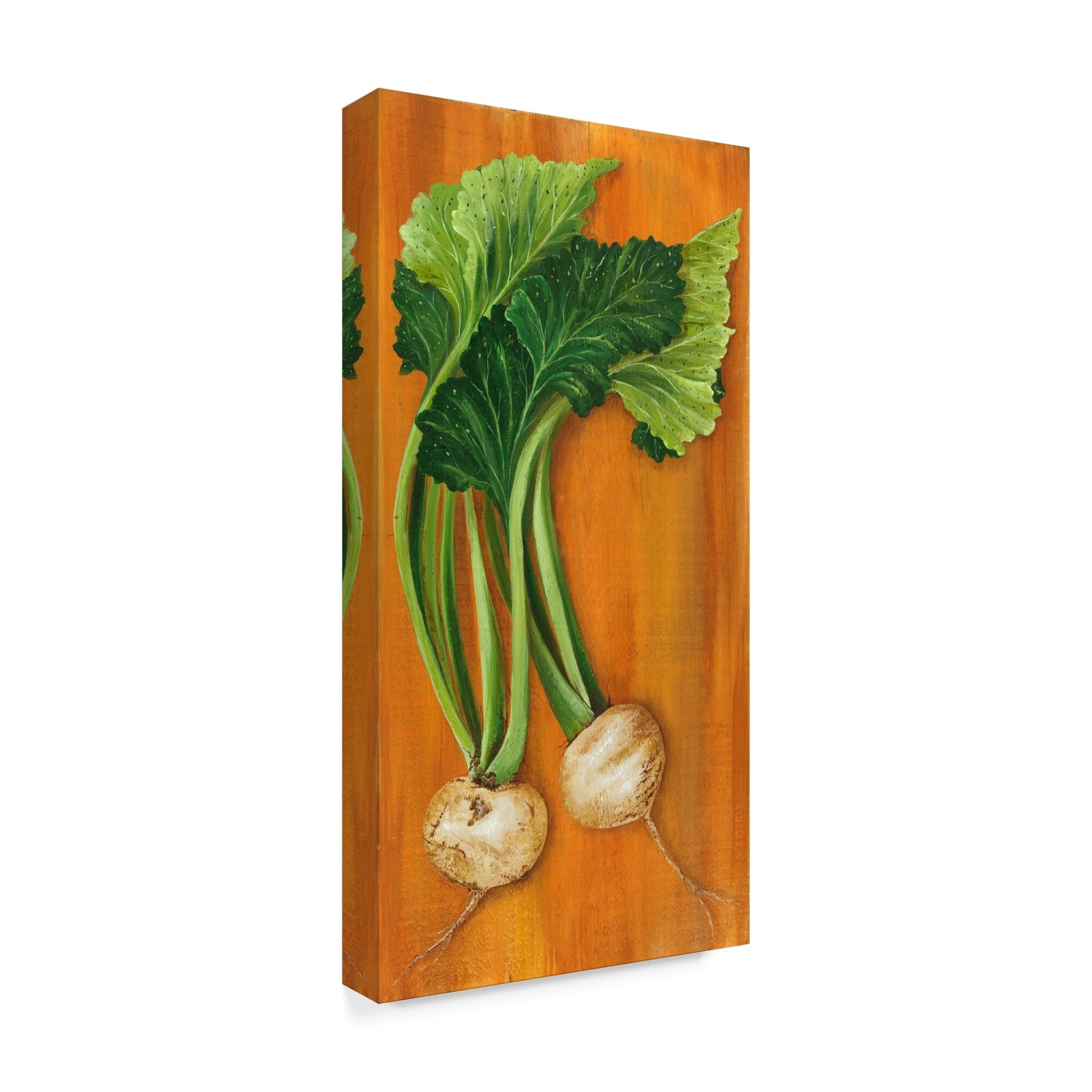 Shop Gigi Begin Turnip Canvas Art Multi Color On Sale Free