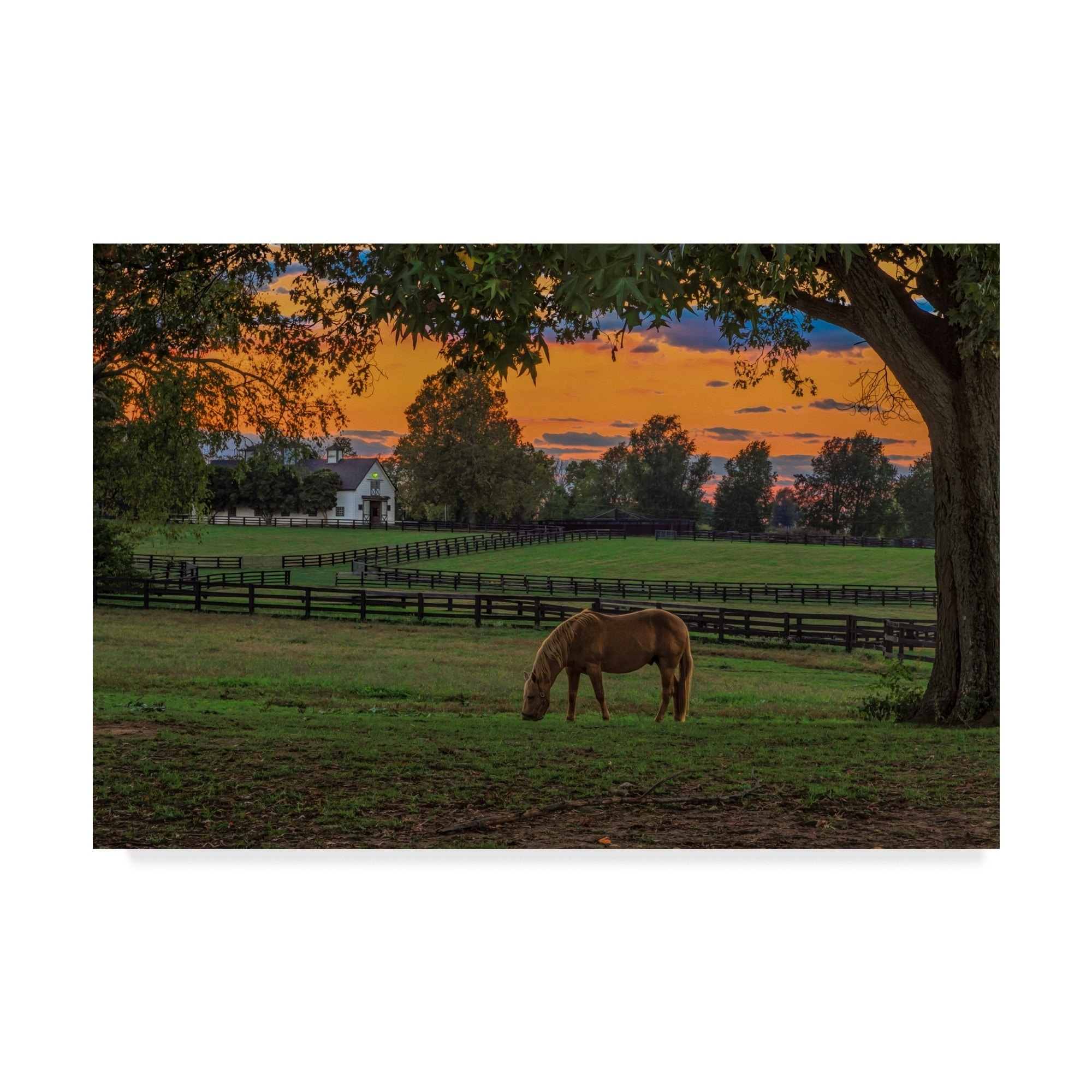 Galloimages Online 'Horse Farm Sunset' Canvas Art - Multi-color