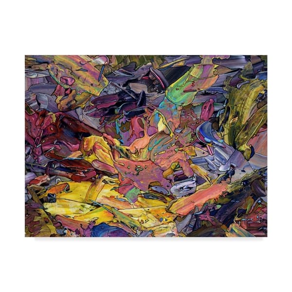 Shop James W Johnson Paint 2 Canvas Art Multi Color On Sale Free Shipping Today Overstock 21814390