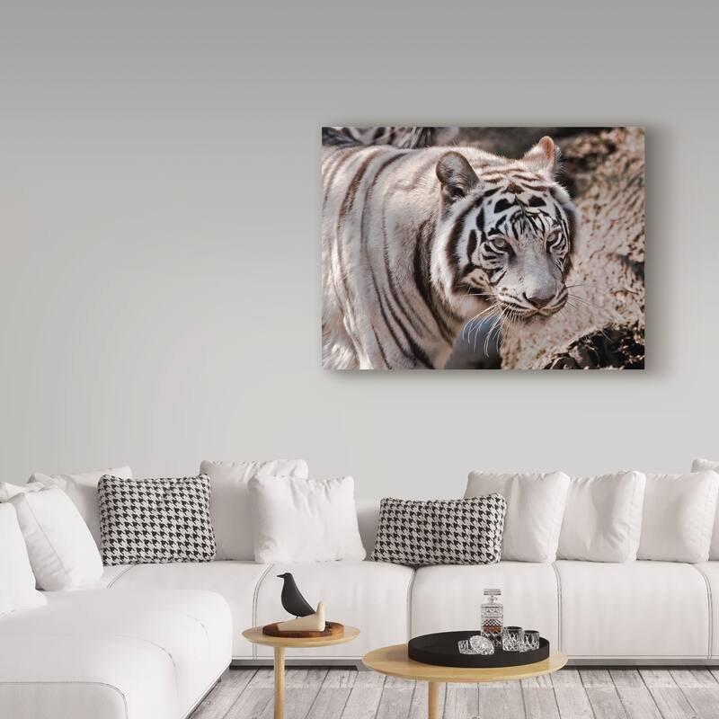 Galloimages Online 'White Tiger 2' Canvas Art - Multi-color