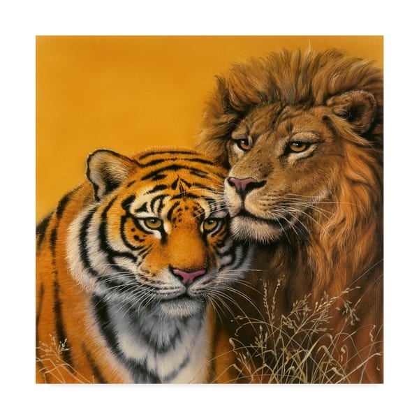 Canvas Stretcher Pliers  LION Picture Framing Supplies Ltd