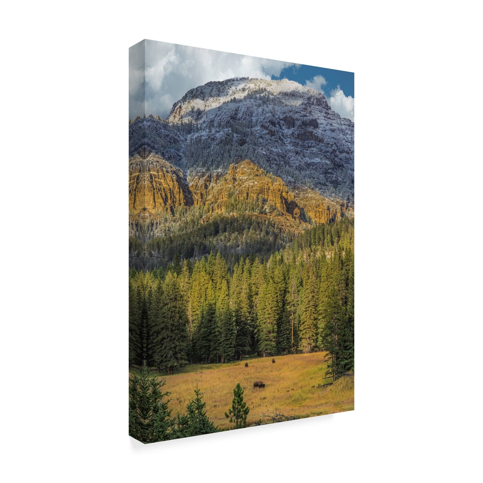 Galloimages Online 'Bison In The Yellowstone' Canvas Art Multicolor Bed Bath & Beyond