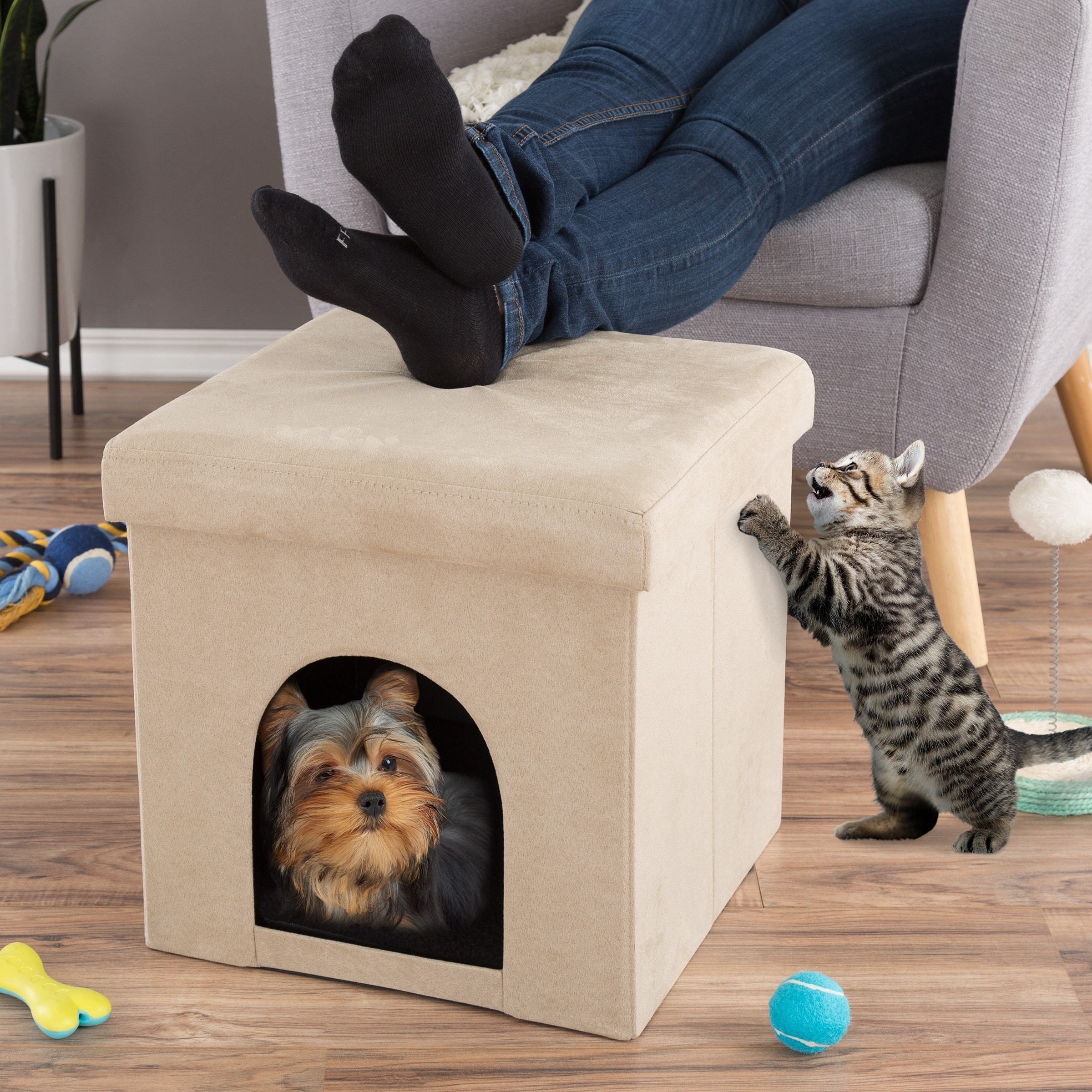 cat house ottoman