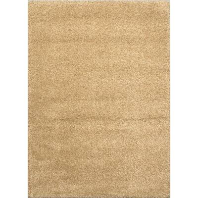 Shaggy Beige Shag Rug