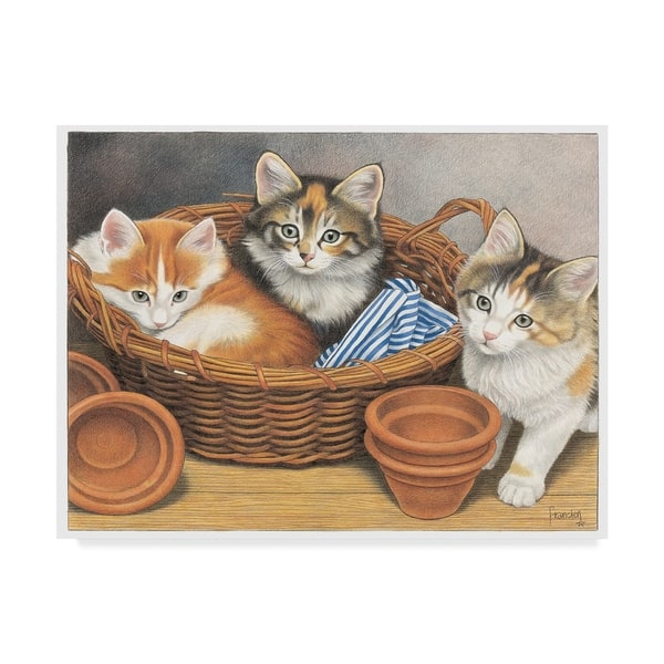 Shop Francien Van Westering Cats In A Basket Canvas Art Multi