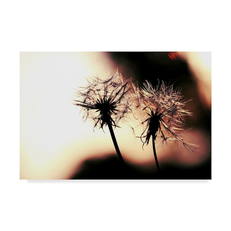 Incredi 'Summer Romance Dandelions' Canvas Art - Multi-color