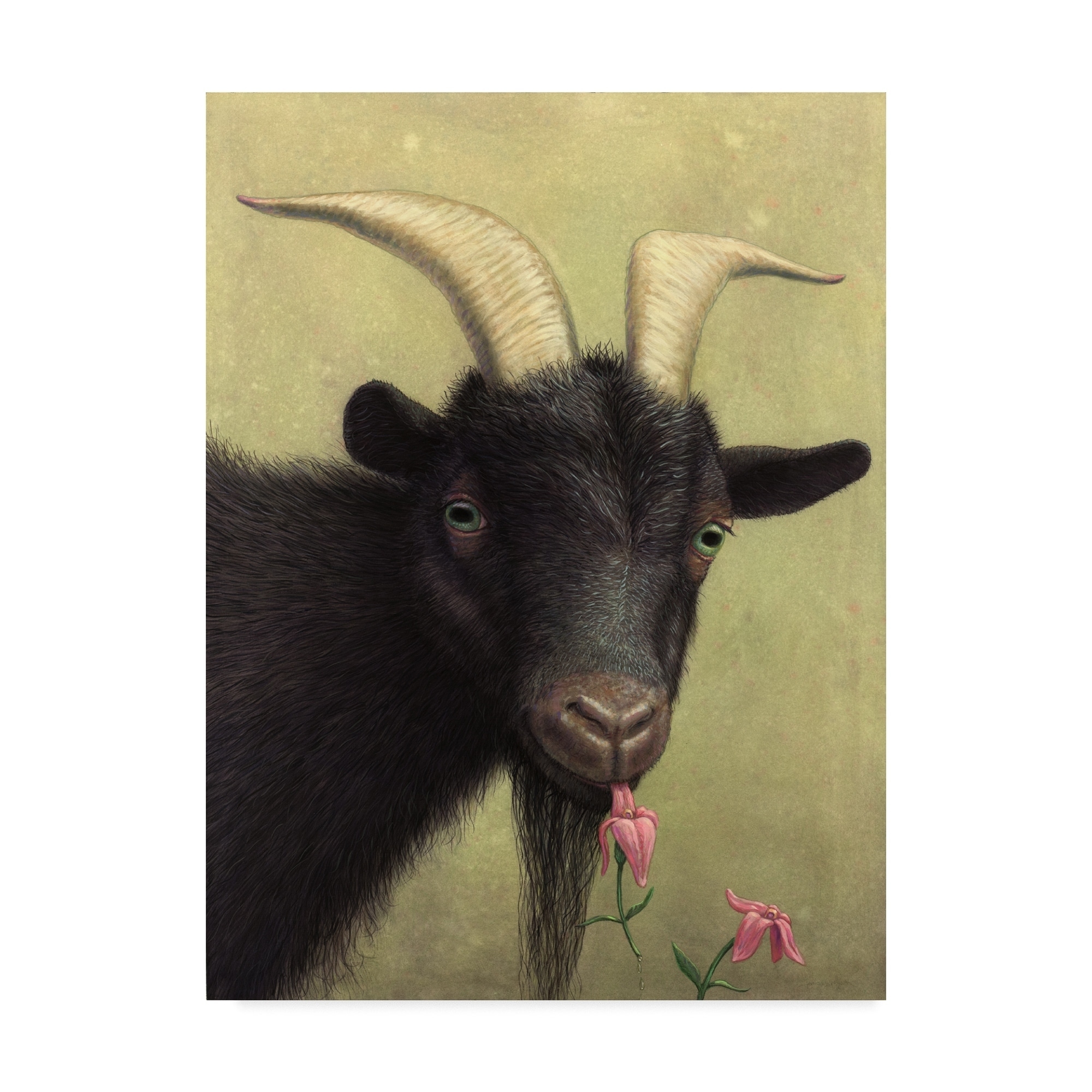 James W. Johnson 'Black Goat Enjoying A Pink Flower' Canvas Art - Multi-color