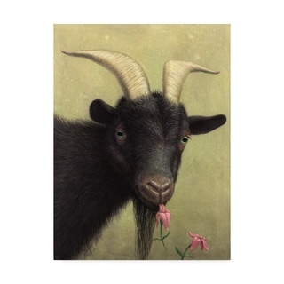 James W. Johnson 'Black Goat Enjoying A Pink Flower' Canvas Art - Multi-color