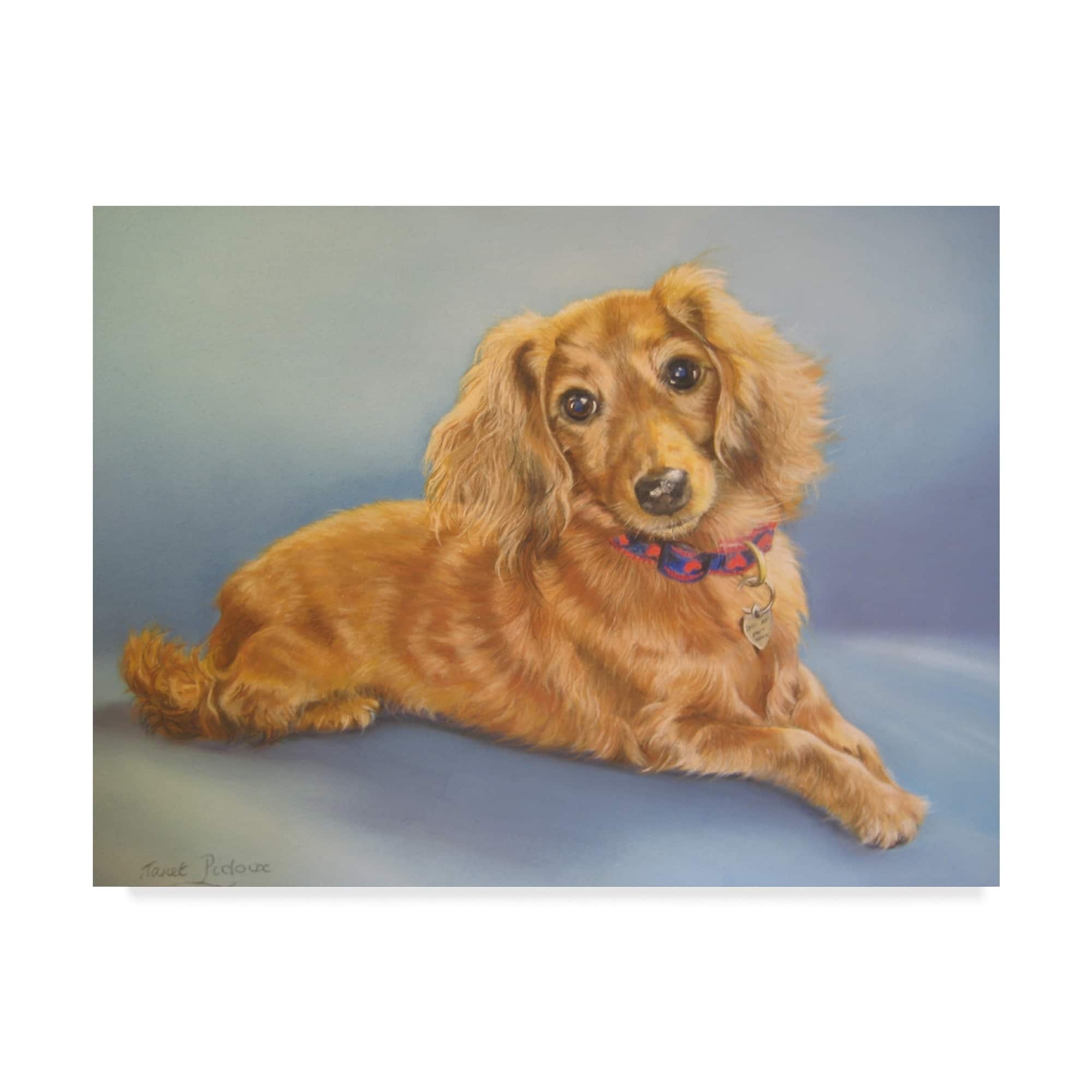 Janet Pidoux 'Sophie, Blue Background' Canvas Art - Multi-color - Bed ... image.