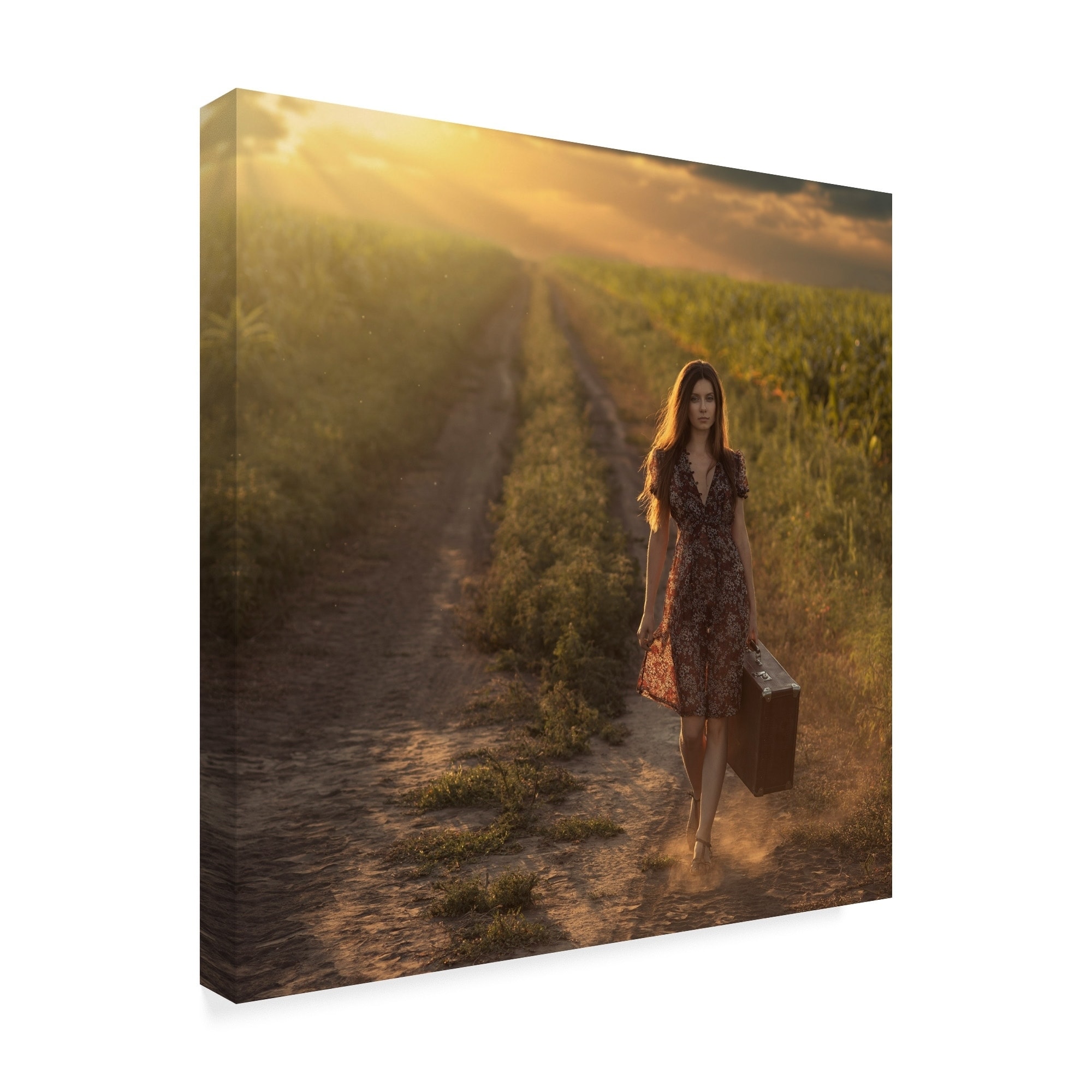 David Dubnitskiy 'Traveler' Canvas Art - Multi-color - Bed Bath