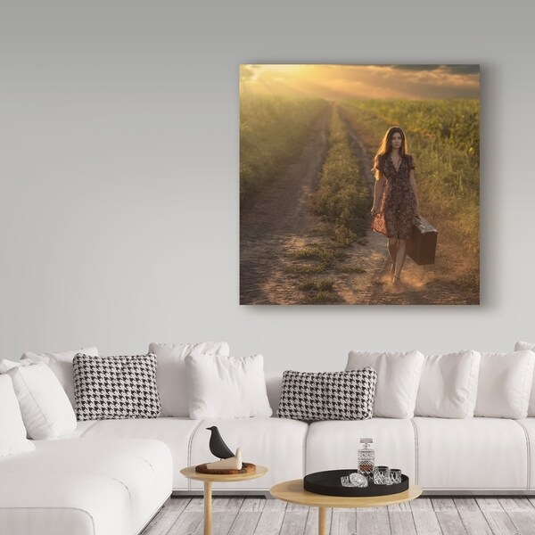 David Dubnitskiy 'Traveler' Canvas Art - Multi-color - Bed Bath