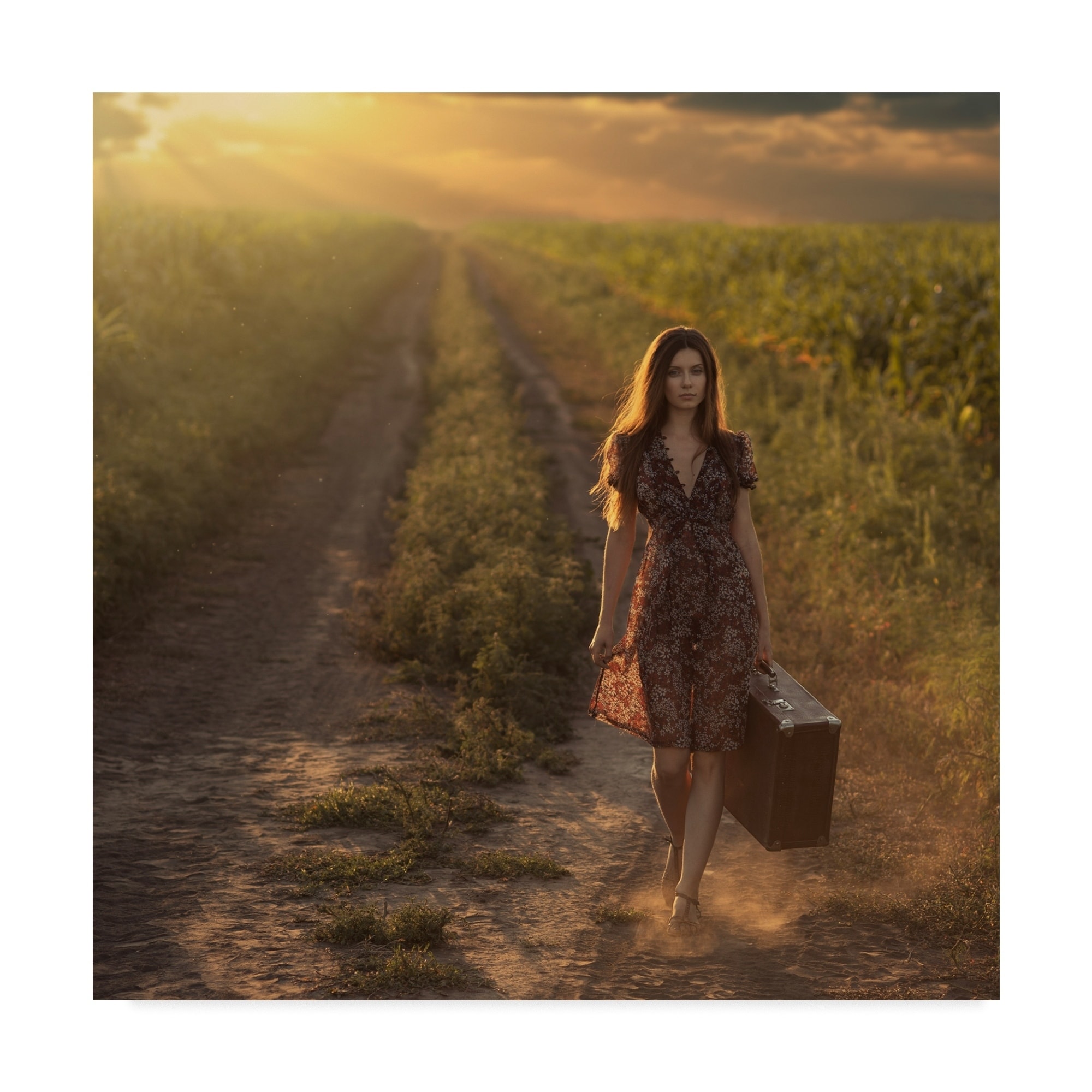 David Dubnitskiy 'Traveler' Canvas Art - Multi-color - Bed Bath