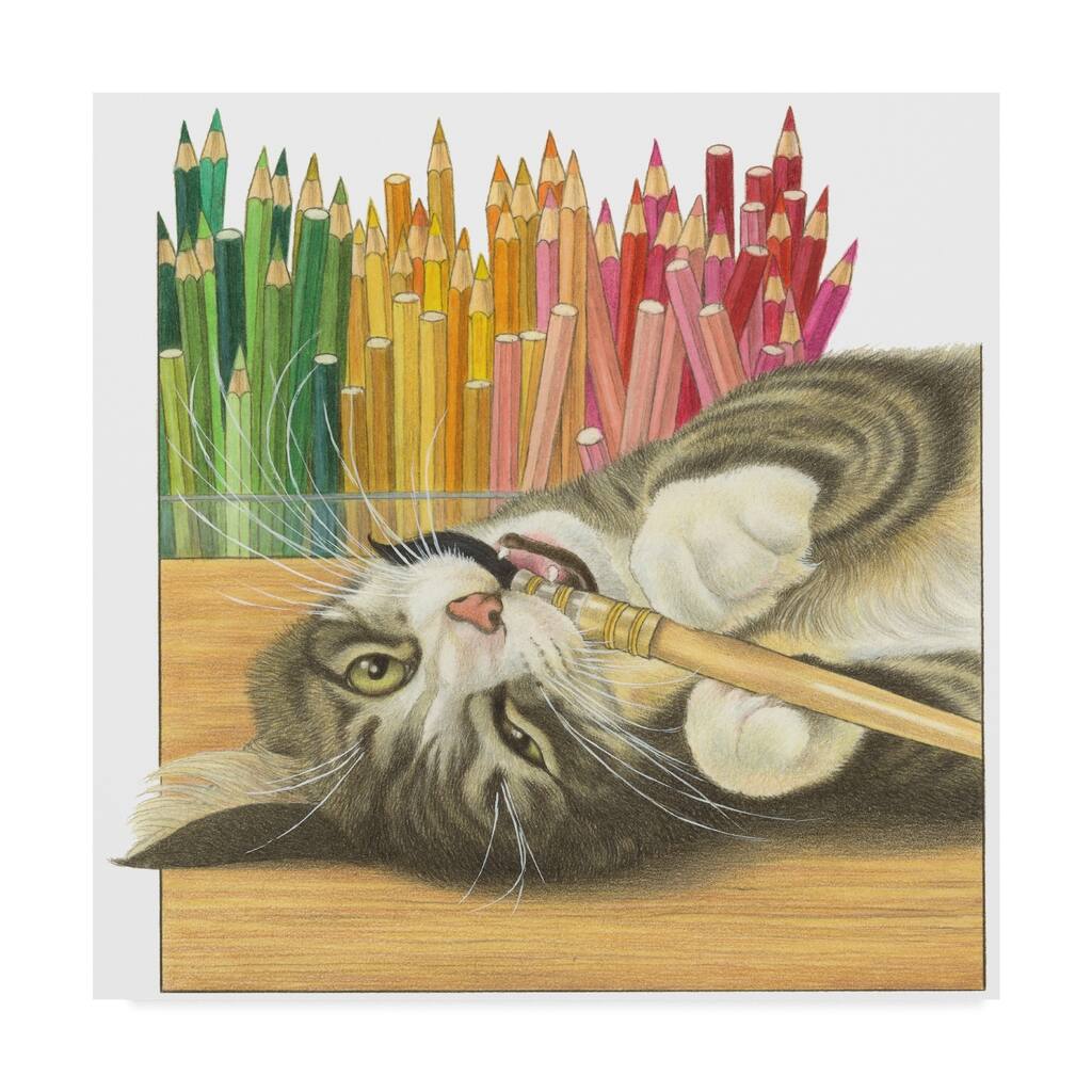 Francien Van Westering 'Gray Cat Over Pencils' Canvas Art - Multi-color