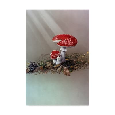Harro Maass 'Mushrooms Gray' Canvas Art - Multi-color