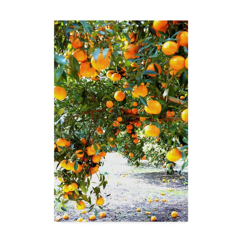 Incredi 'Orange Trees' Canvas Art - Multi-color