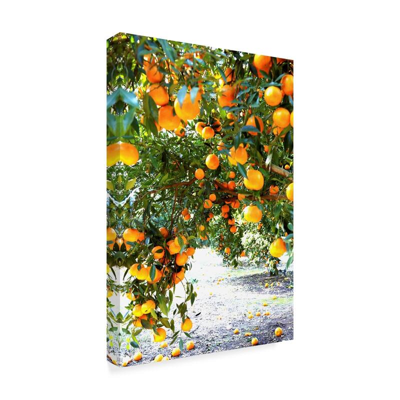 Incredi 'Orange Trees' Canvas Art - Multi-color