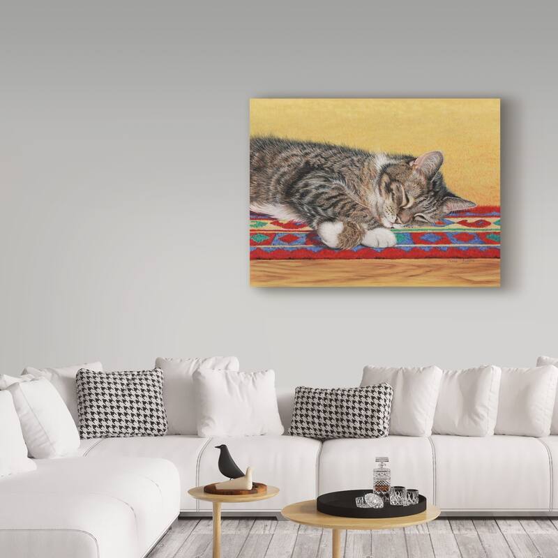 Janet Pidoux 'Sleepy Sam' Canvas Art - Multi-color