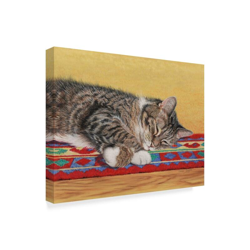 Janet Pidoux 'Sleepy Sam' Canvas Art - Multi-color